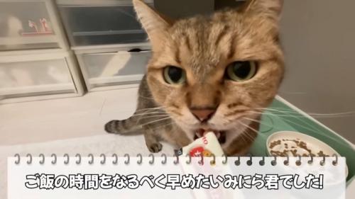 オヤツをたべる