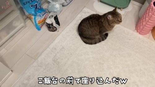 器の前で座り込み