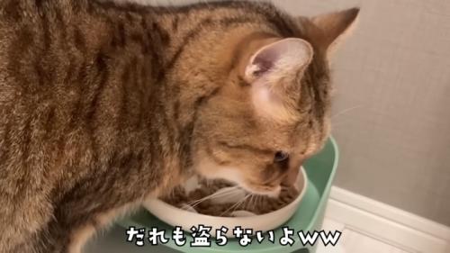 チラっと見るみにらくん