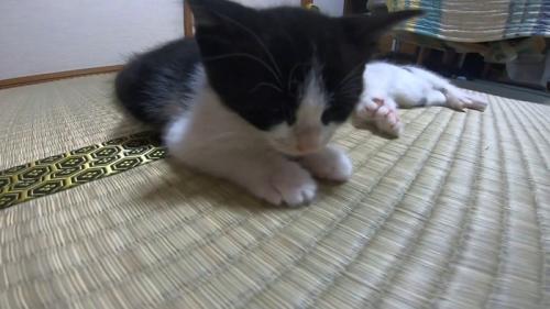うつらうつら