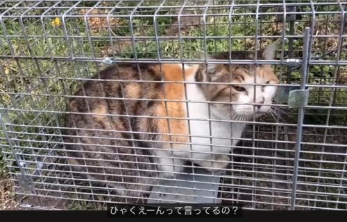 返答する撮影者