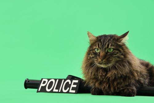 猫警察官のイメージ