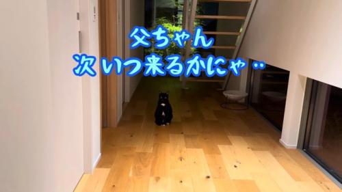 次いつ来るかにゃ…