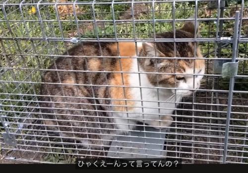 驚く撮影者