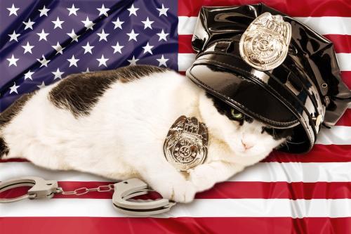 星条旗と警察官の扮装をした猫