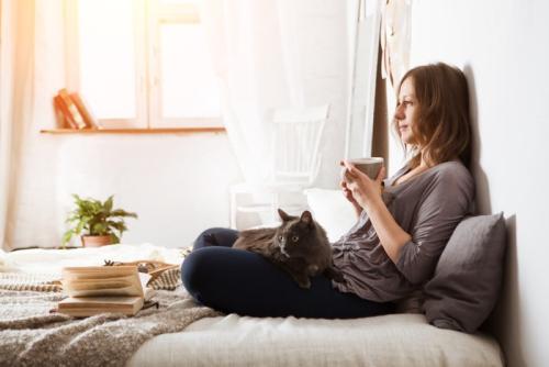 人のひざの上に乗る猫