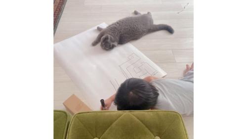 猫と子ども