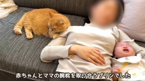 赤ちゃんを抱いて昼寝をする人と猫