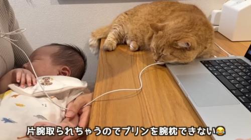 赤ちゃんを抱っこしている人と猫