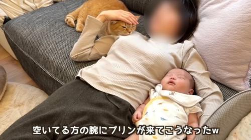 赤ちゃんを抱いて昼寝をする人と猫