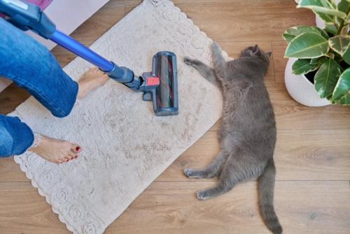 掃除機と猫