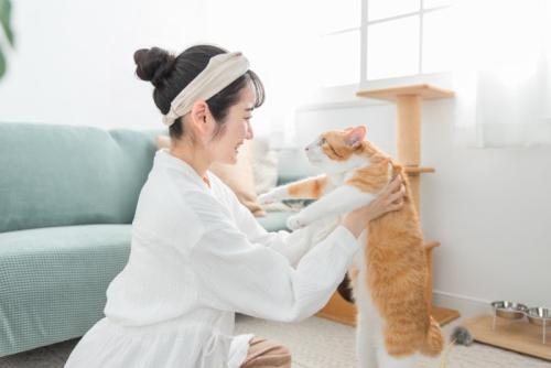 猫と触れ合う女性