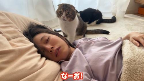 なーお!