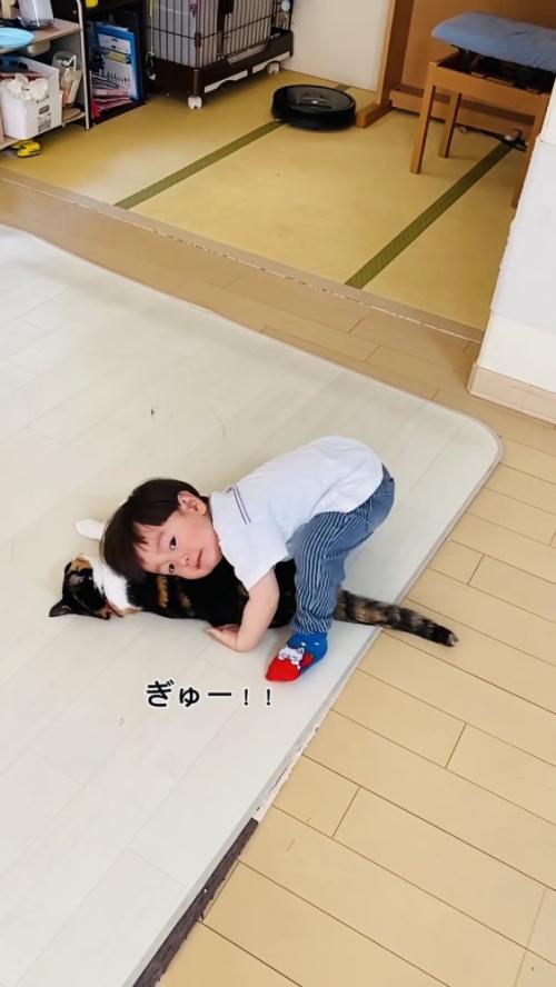 保護猫に覆いかぶさる男の子