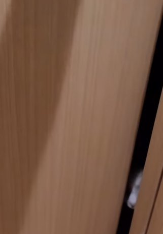 ドアが少し開き猫の鼻が見える