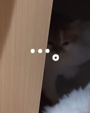 ドアの隙間から出てくる白い体の猫（・・・。）