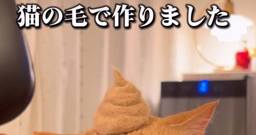 抜け毛で作ったウンチ