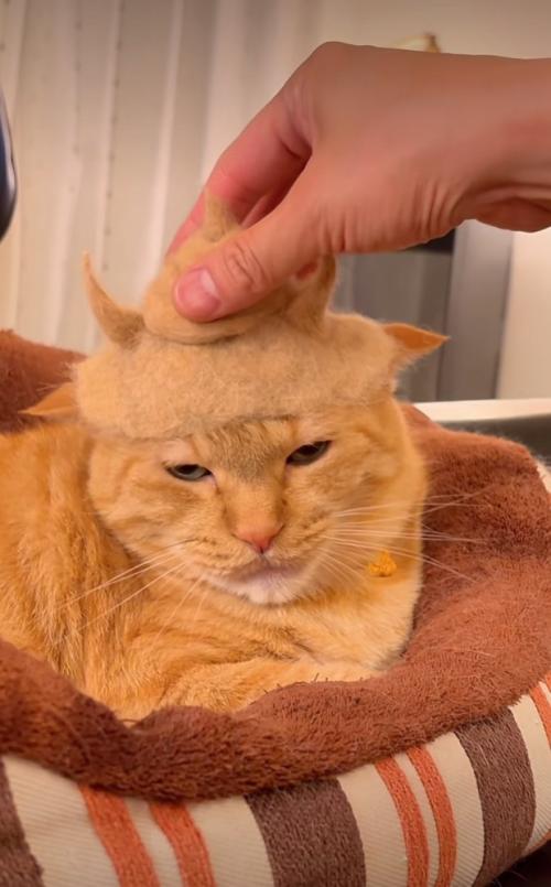 ウンチを乗せる