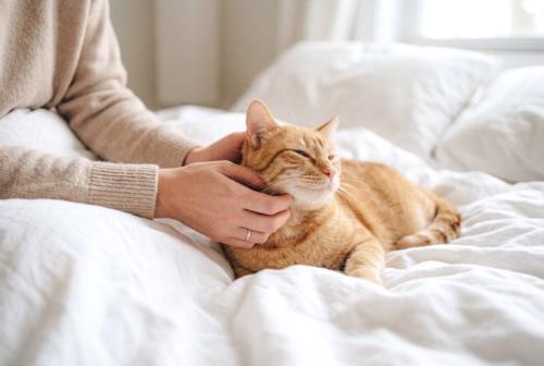 猫をなでる女性
