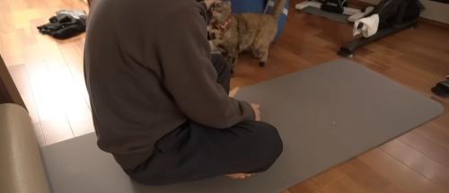 筋トレ中の飼い主に近づくサビ猫
