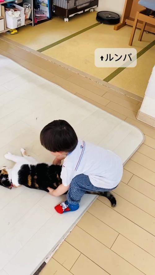 保護猫を移動させる男の子