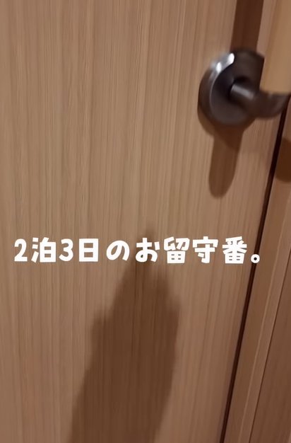 ドアノブまで写るドア（2泊3日のお留守番）