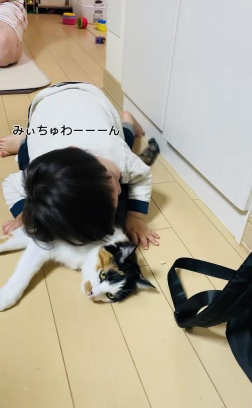 保護猫に顔を埋める男の子