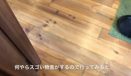 部屋の床