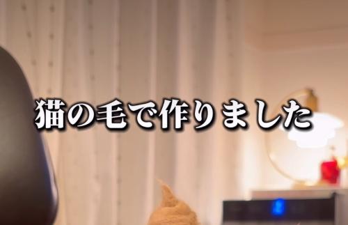 テロップと抜け毛