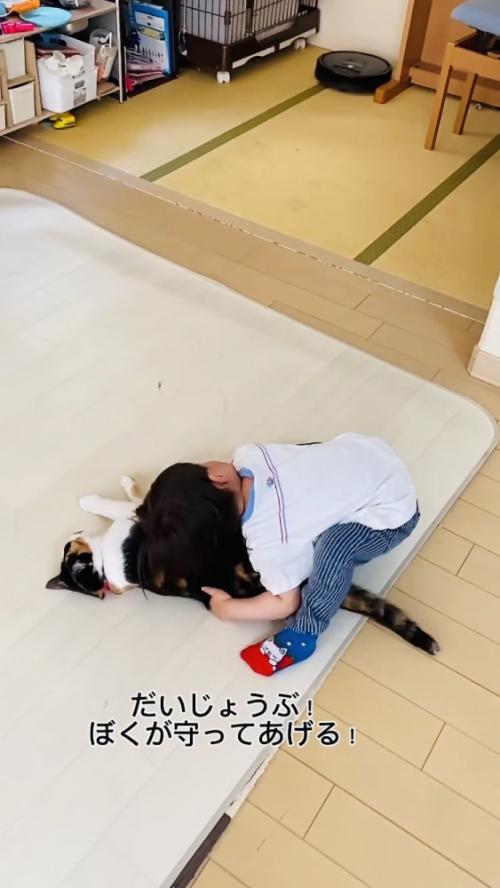 保護猫に覆いかぶさる男の子