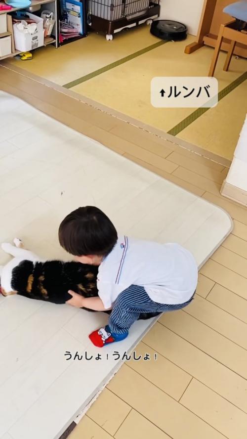保護猫を移動させる男の子