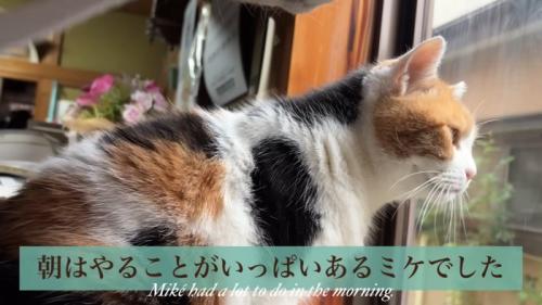 テロップ「朝はやることが～」