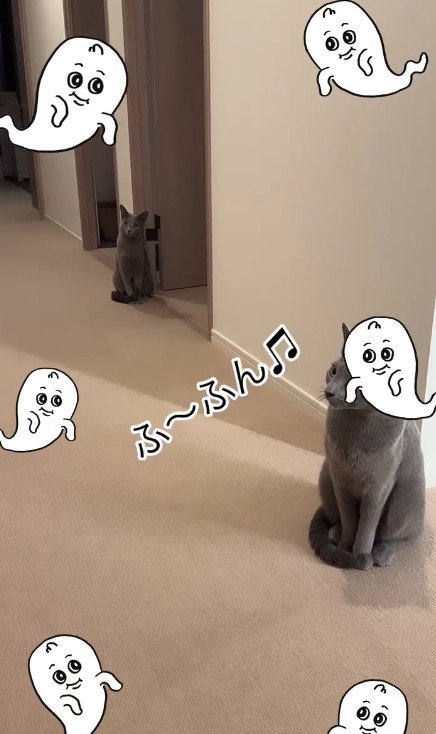 廊下に座っている2匹の猫