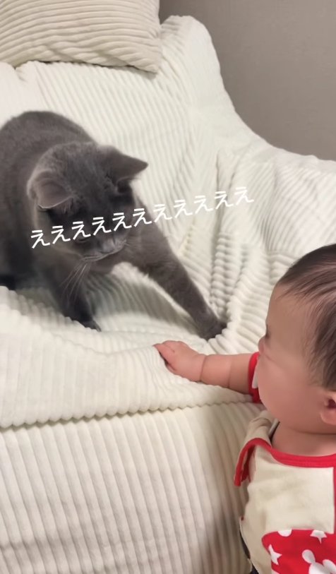 泣いている子供を見て驚いている猫