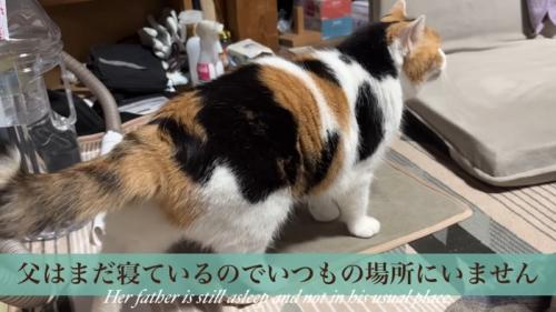テロップ「父はまだ寝ているので～」