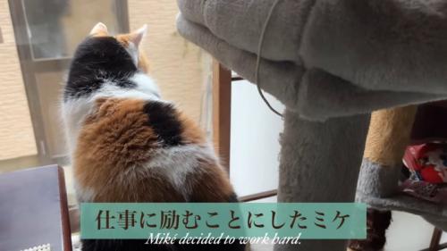 テロップ「仕事に励む～」