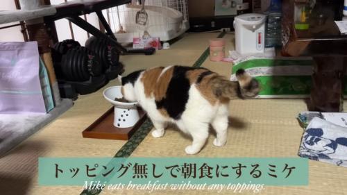 テロップ「トッピング無しで～」