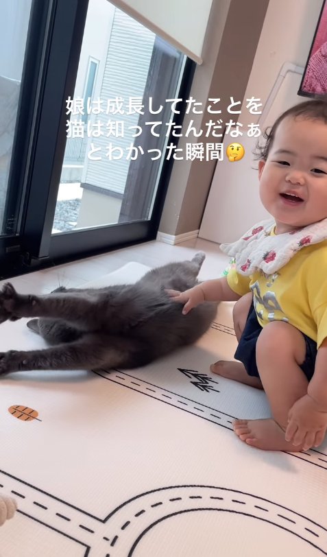 子供にお腹を触られて伸びをしている猫（子供の目線カメラ）