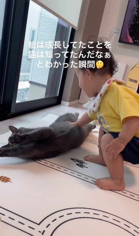 子供にお腹を触られて伸びをしている猫（子供の目線猫）