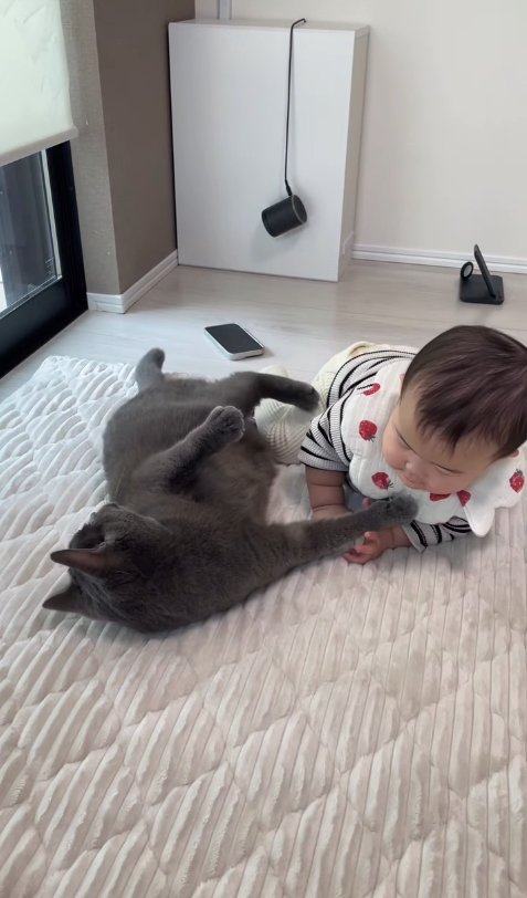 そばにいる子供に手足を当てている猫
