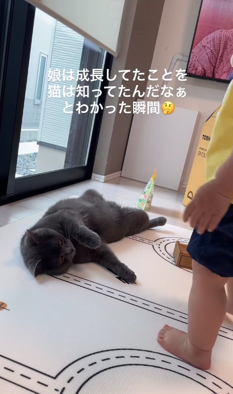 立っている子供の近くで後ろ足を開いて横になっている猫