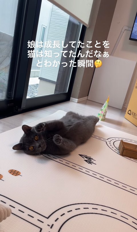 ひっくり返ったまま前足を伸ばしているカメラ目線の猫