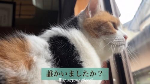 テロップ「誰かいました？」