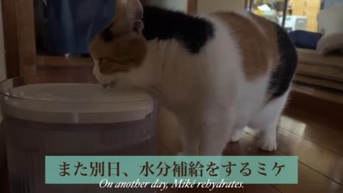 テロップ「また別日、～」