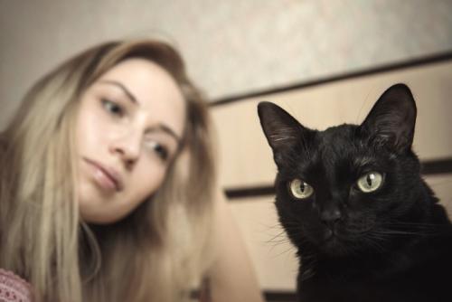 後ろから女性に見られている黒猫