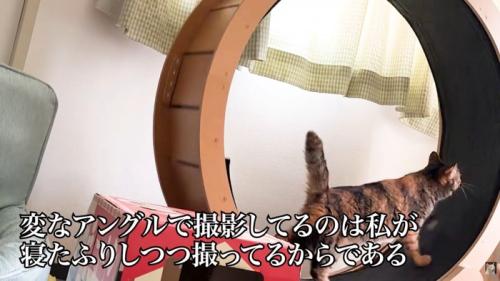 テロップ「変なアングルで～」