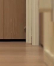 ドアにかかる猫の手（アップ）