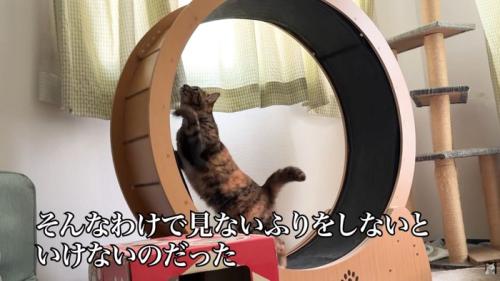 テロップ「そんなわけで～」