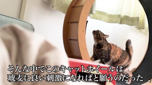 テロップ「そんな中で～」