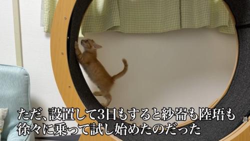 テロップ「ただ、設置して～」